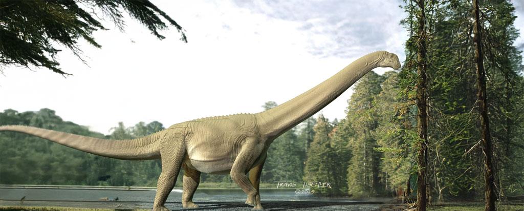 Australian sauropod