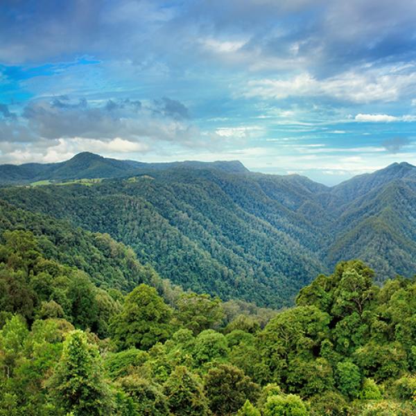 Australian landscape panorama