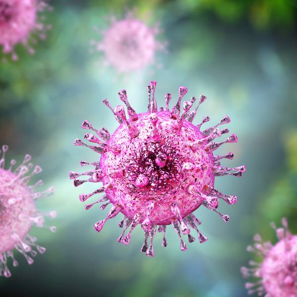 Cytomegalovirus
