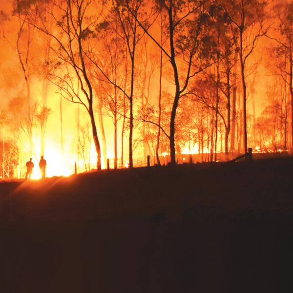 NSW bushfires