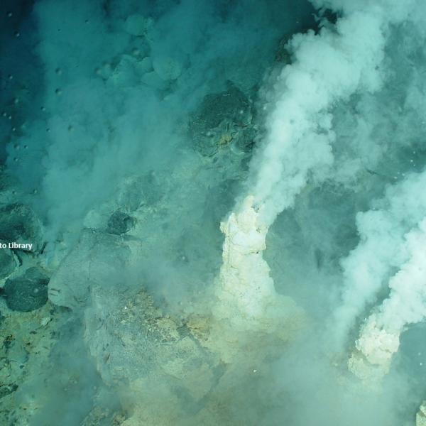 Undersea thermal vents