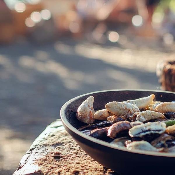 Traditional indigenous foods