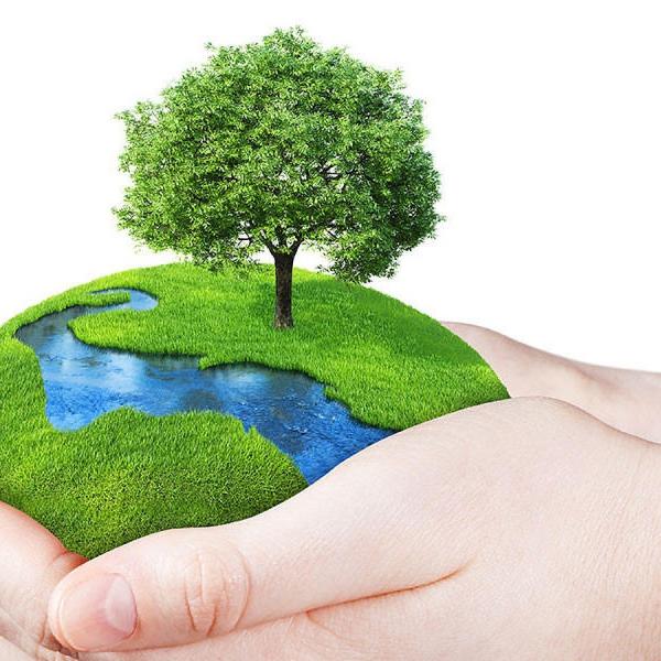 world in someone's hands for world environment day