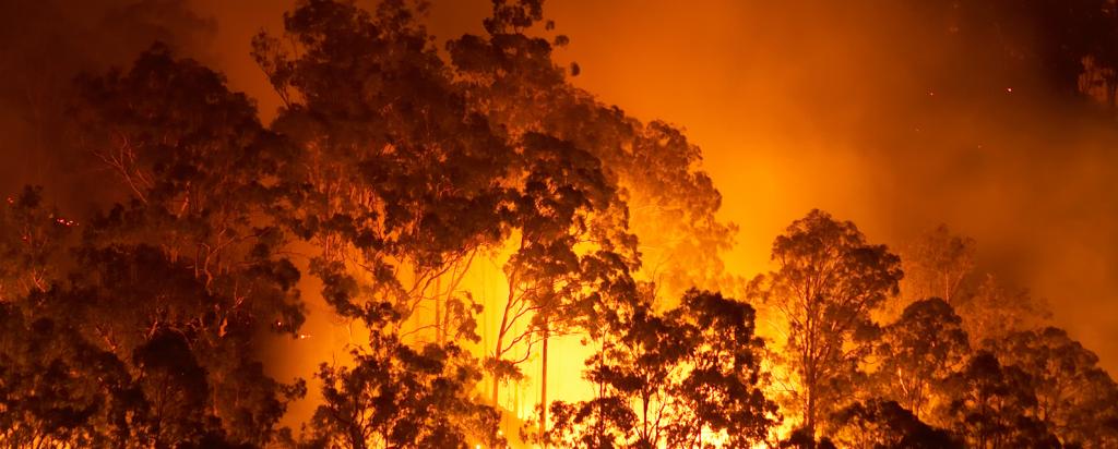 Australian bushfires