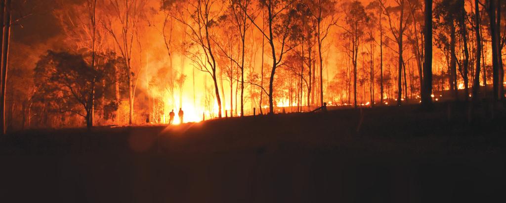 NSW bushfires