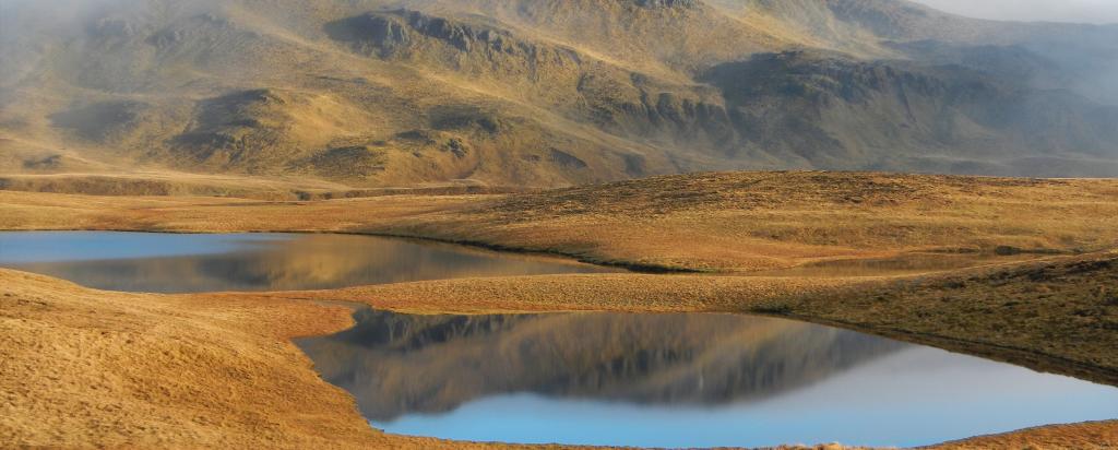 Macquarie Island