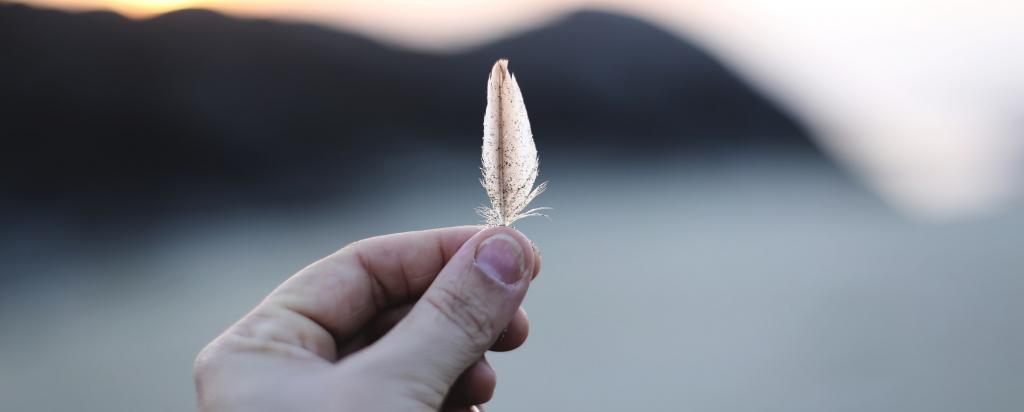 Hand holding a feather