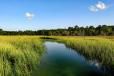 lowcountry landscape