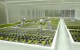 Robots growing lettuce