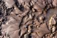 Glacial river bank