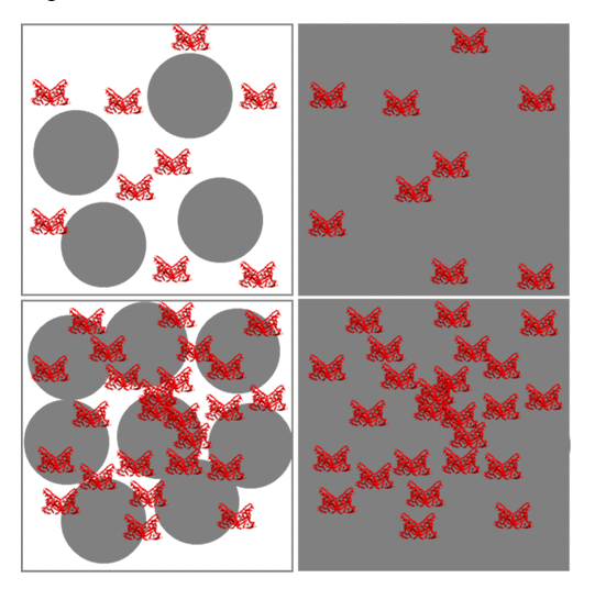 Nanoparticles coronae