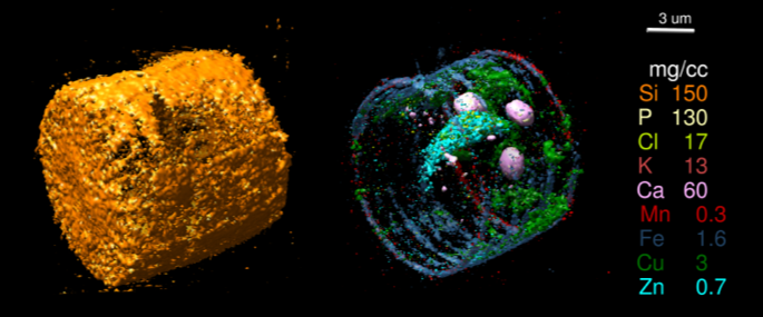 elemental mapping and tomography