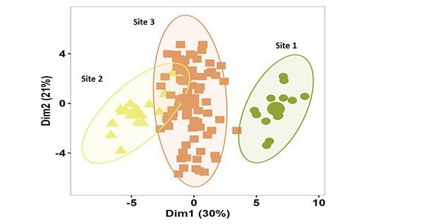 Kakadu plum data 2