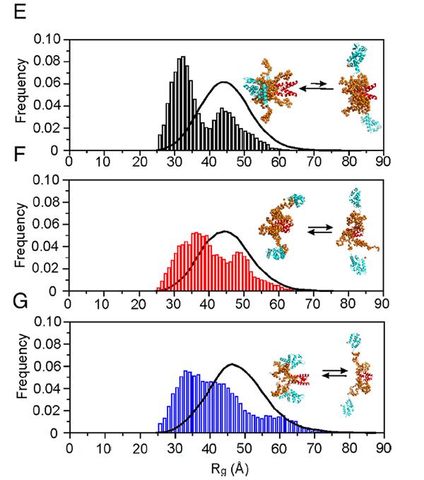 SAXS data disordered proteins