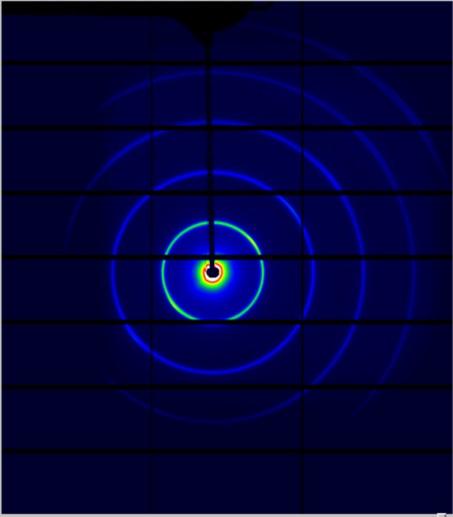 BioSax image