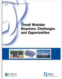 SMRs Challenges and Opportunities.