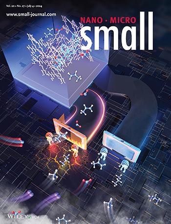 Cover Small