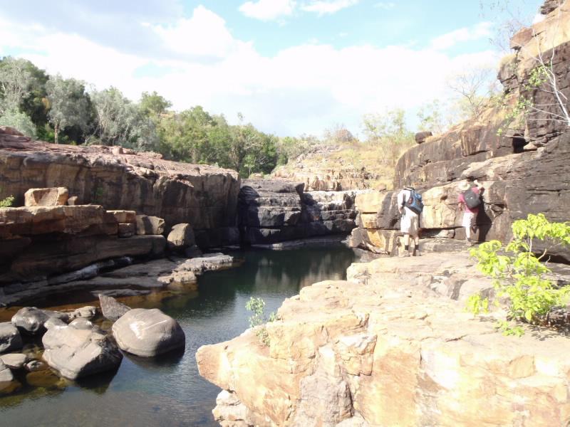 Kakadu research image 2