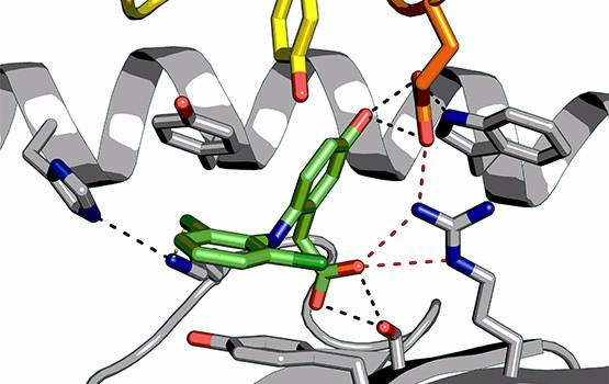 Drug Immune complex