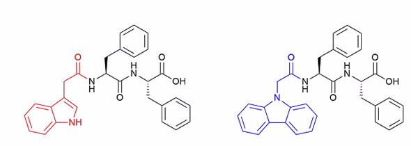 peptide chemical structure