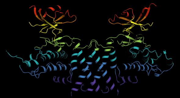 3D molecular scaffold