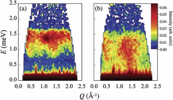 Haldane state _Pelican data